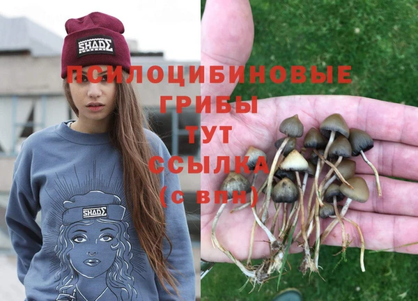 mdma Магас