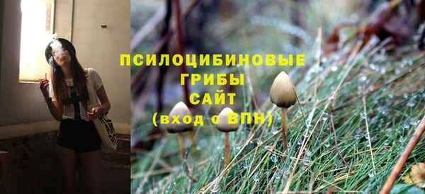 стаф Лагань